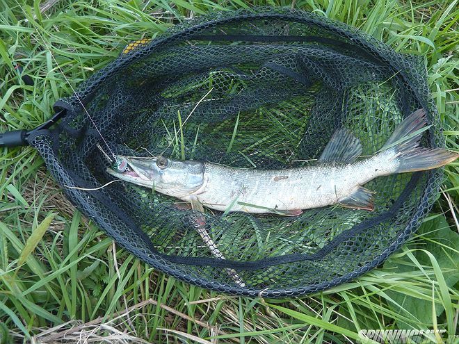 Изображение 4 : Рыбалка  на малых реках Чувашии